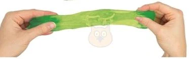  SLIZ S KOSTROU DINOSAURA  